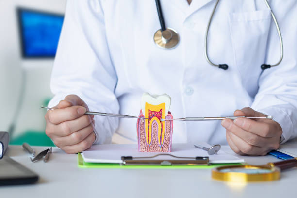 Best After-Hours Dental Trauma Care in Calcutta, OH